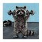 Stupell Industries Fitness Raccoon with Weights Canvas, design by Studio Bautista